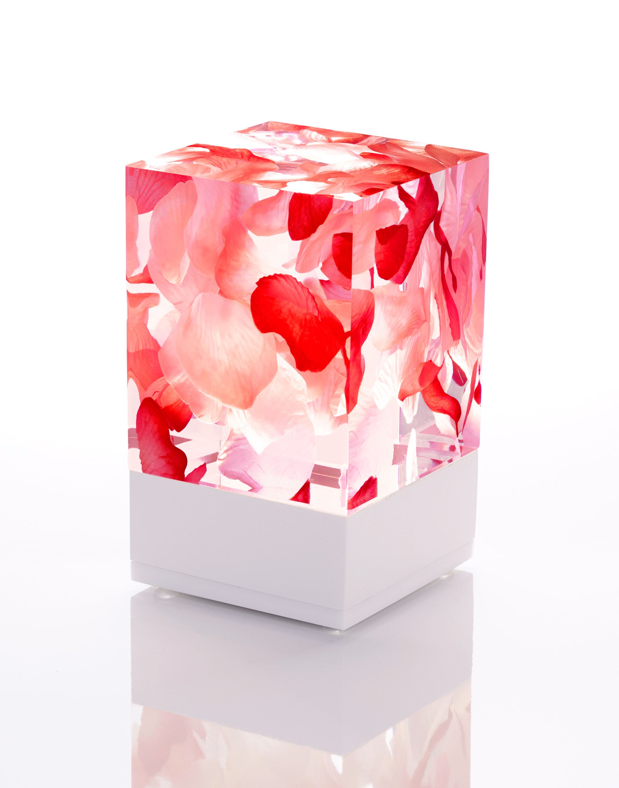 Roses socle blanc fond blancnew