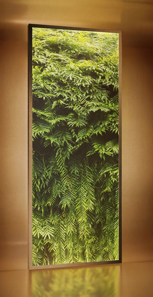 Dacryl / D018 - Jungle